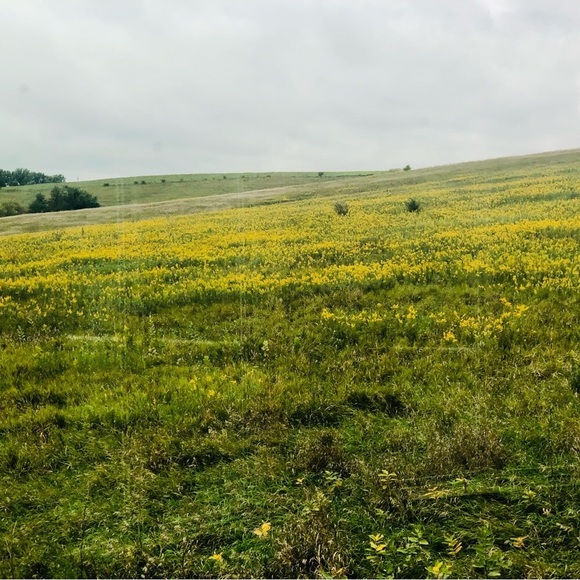 Meet your Posh Ambassador, Kristina - Picture 9 of 9